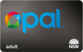 Adult Opal card